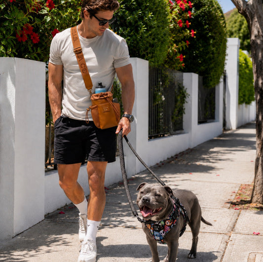 Why Daily Walks Are About More Than Exercise