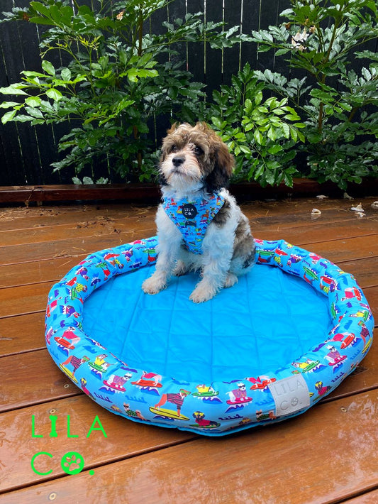Cavoodle in Blue Surf Dogs Print Cooling Pet Bed Cooling Dog Bed Outdoor Dog Bed Outdoor Pet Bed Summer