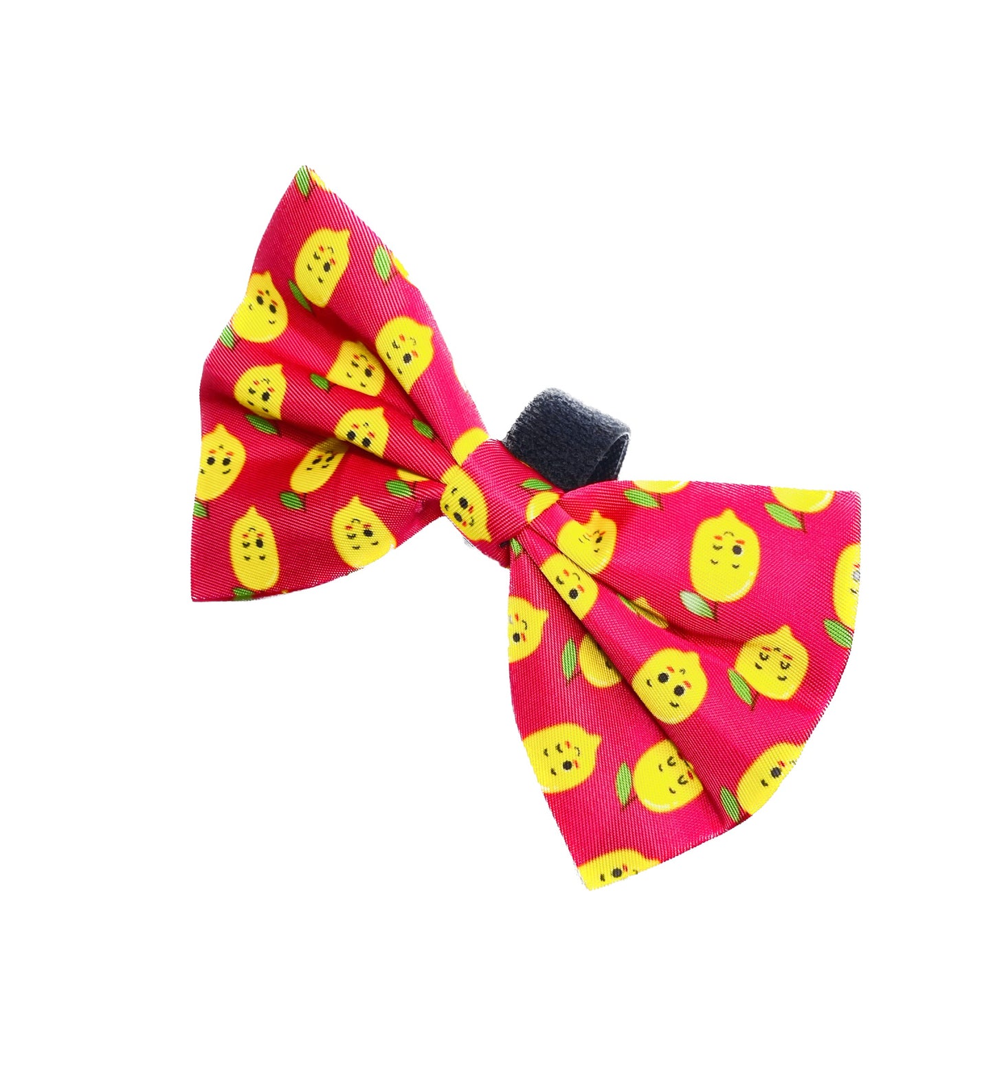 Complete Dog Harness Set | Happy Lemons