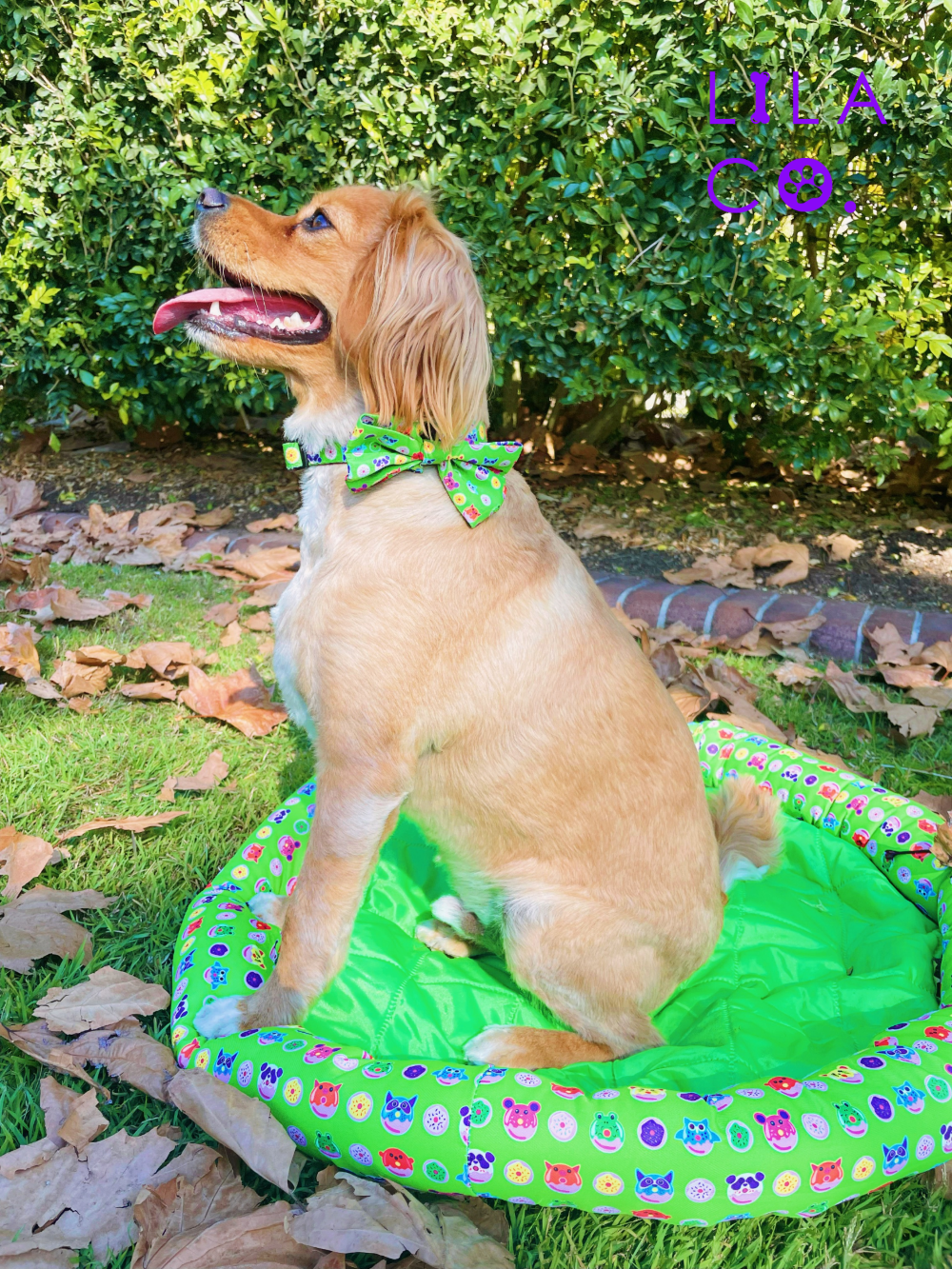 Donut Animals Green Print Cooling Dog Pet Bed Cavoodle Outdoor Pet Bed Outdoor Dog Bed  Australia Pet Supplies Australia Dog Accessories Pet Accessories