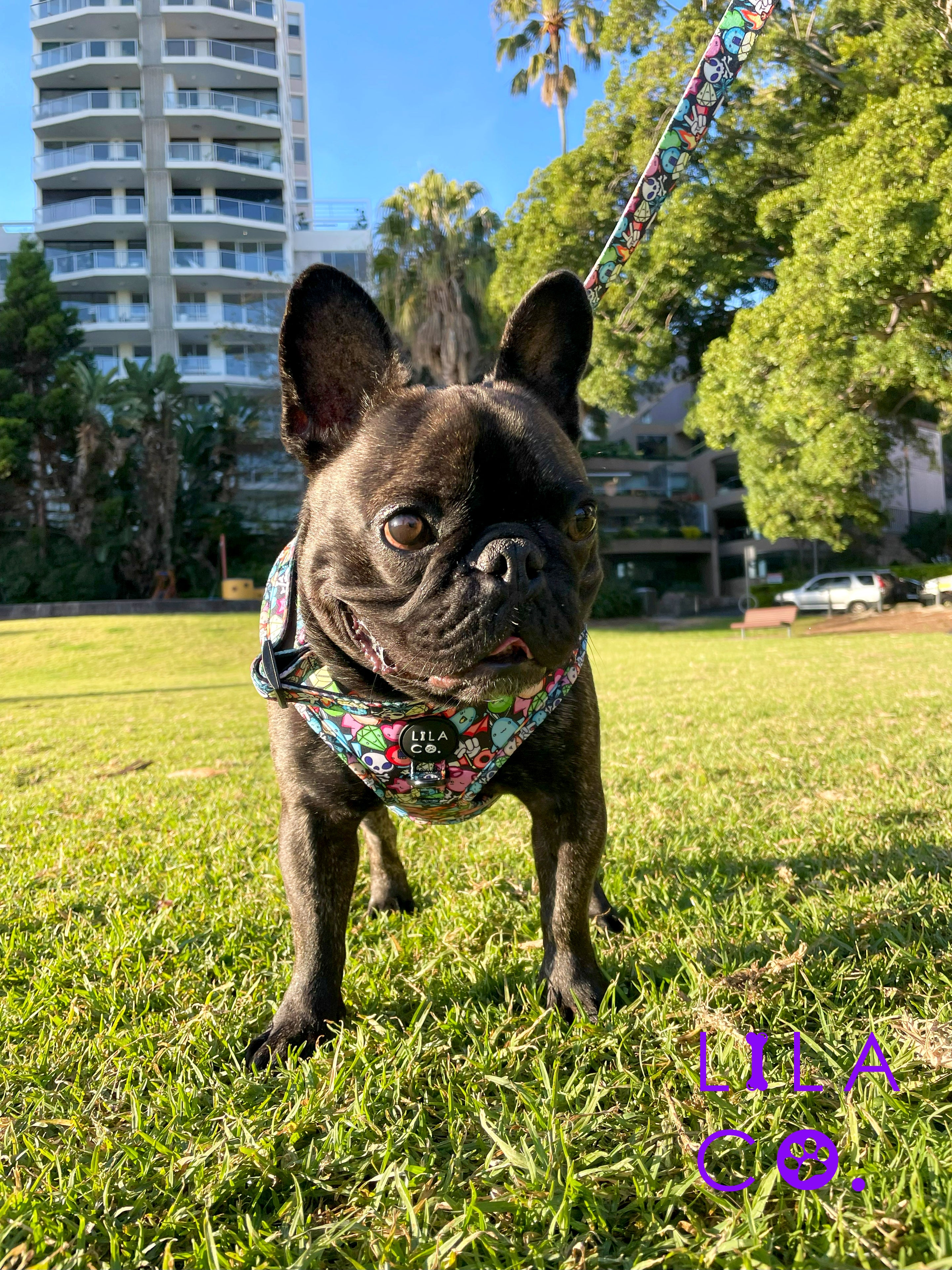 French Bulldog in Black Extra Small Gamer Characters Print Adjustable Dog Harness