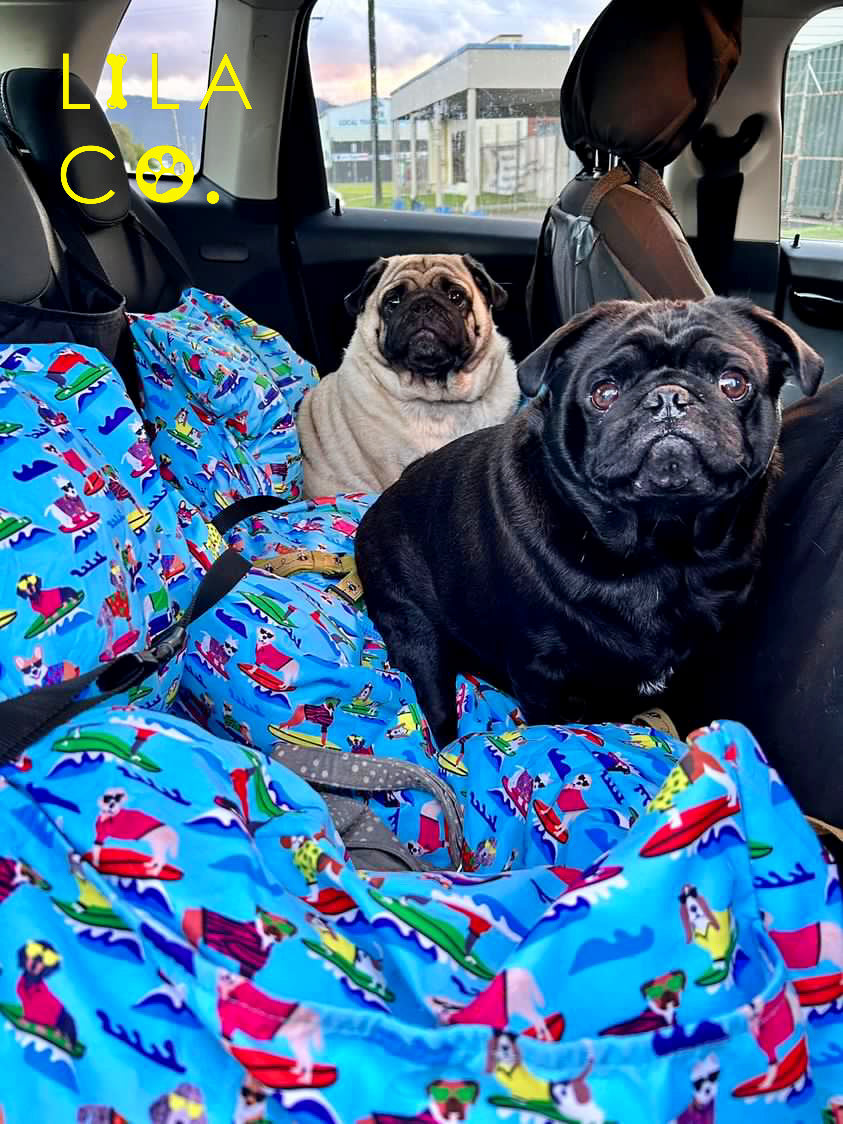 Pug Blue Surf Dogs Print Dog Car Bed Dog Car Safety Dog Car Seat Cat Car Seat  Australia Pet Supplies Australia Dog Accessories Pet Accessories