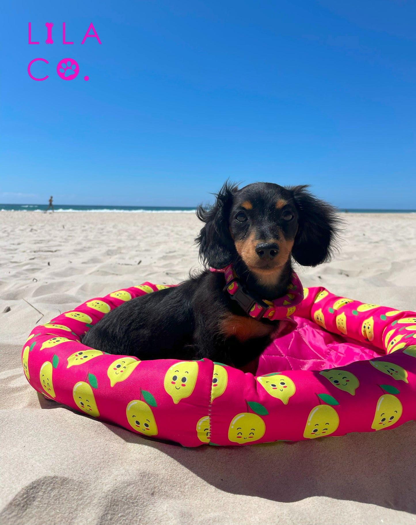 Pink Happy Lemons Print Cooling Pet Bed Dachshund Puppy Outdoor Bed Beach Outdoor Dog Bed Cooling Dog Bed  Australia Pet Supplies Australia Dog Accessories Pet Accessories