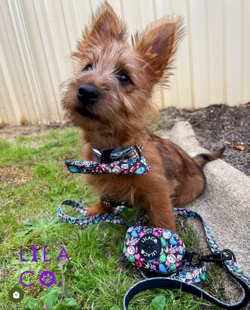 Australian Westie Puppy in Black Gamer Characters Print Dog Bow Tie Dog Collar Dog Leash Dog Poop Bag Holder  Australia Pet Supplies Australia Dog Accessories Pet Accessories