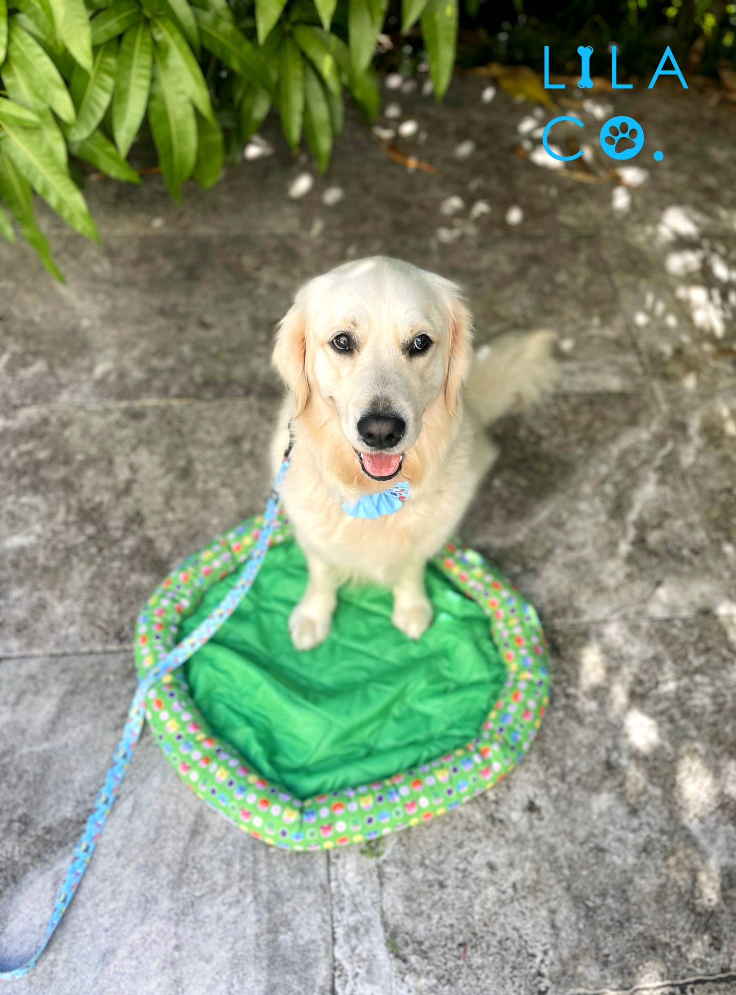 Cool Zone Pet Bed | Donut Animals