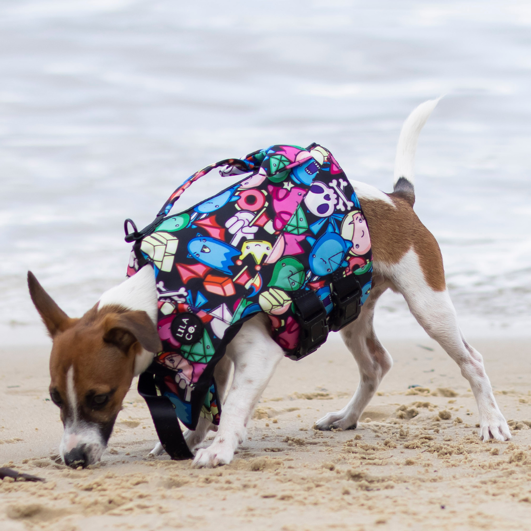 XS Black Gamer Characters Print Life Jacket Float Vest on Dash the Jack Russell Terrier Puppy at the Beach