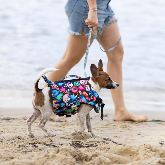 XS Black Gamer Characters Print Life Jacket Float Vest on Dash the Jack Russell Terrier Puppy