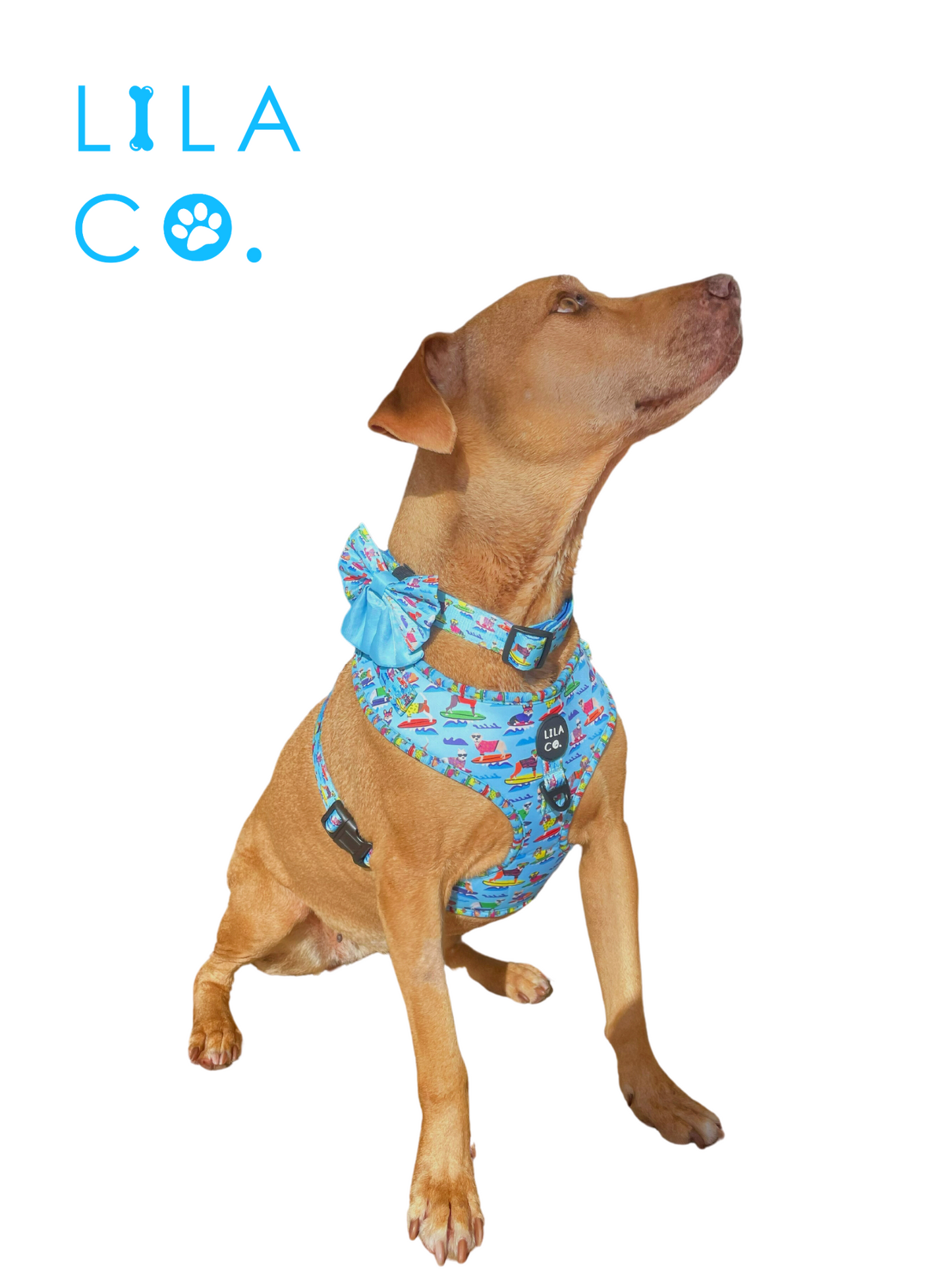 Blue Surf Dogs Print Sailor Bow Tie Staffy Staffie  Australia Pet Supplies Australia Dog Accessories Pet Accessories
