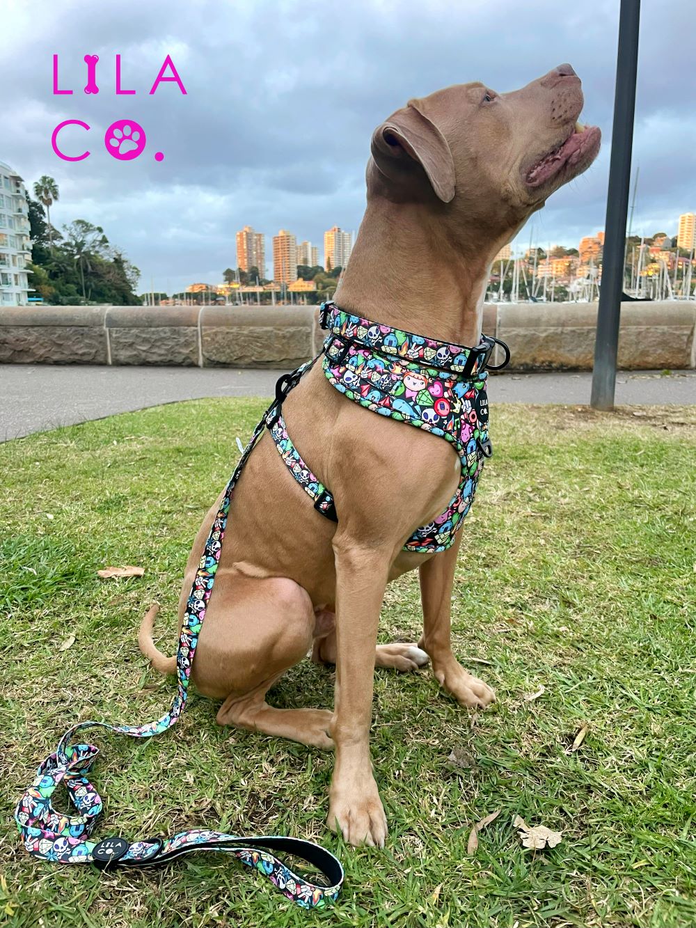 Staffie Staffy in Black Gamer Characters Print Adjustable Dog Harness, Dog Collar and Dog Leash  Australia Pet Supplies Australia Dog Accessories Pet Accessories