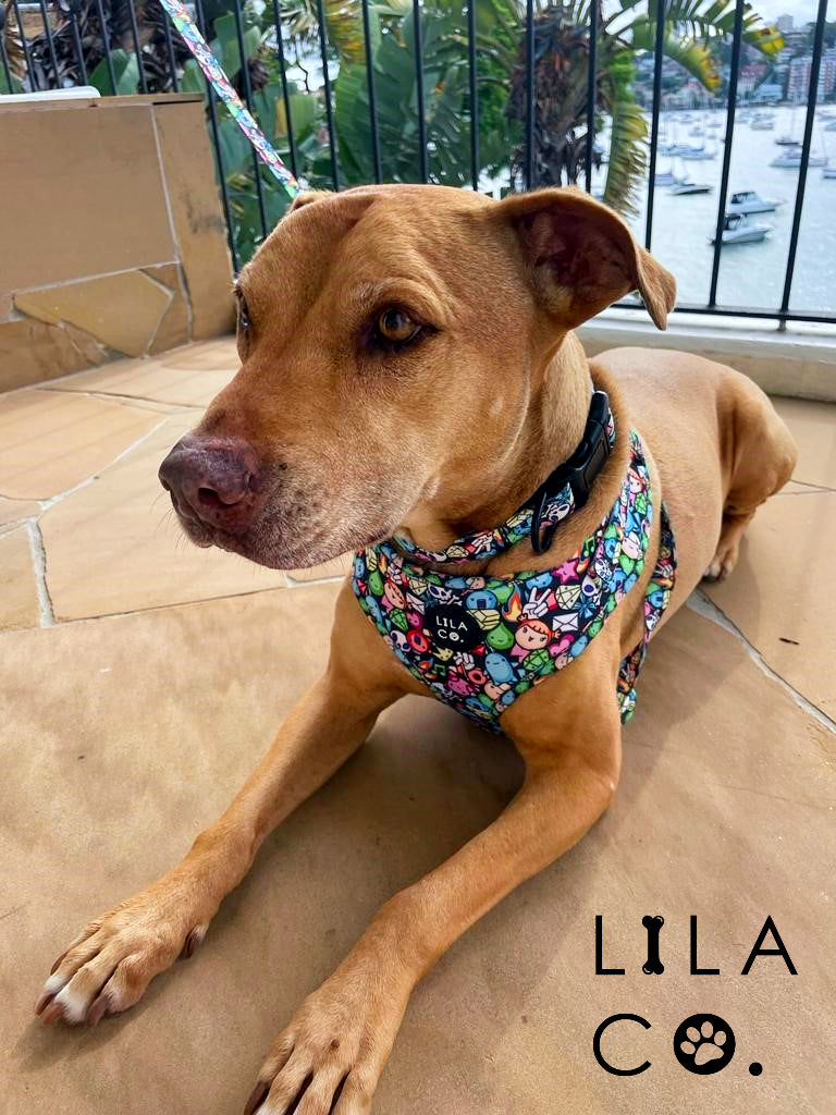 Gamer Characters Print Adjustable Dog Harness, Dog Collar and Dog Bow Tie on Staffy Staffie  Australia Pet Supplies Australia Dog Accessories Pet Accessories