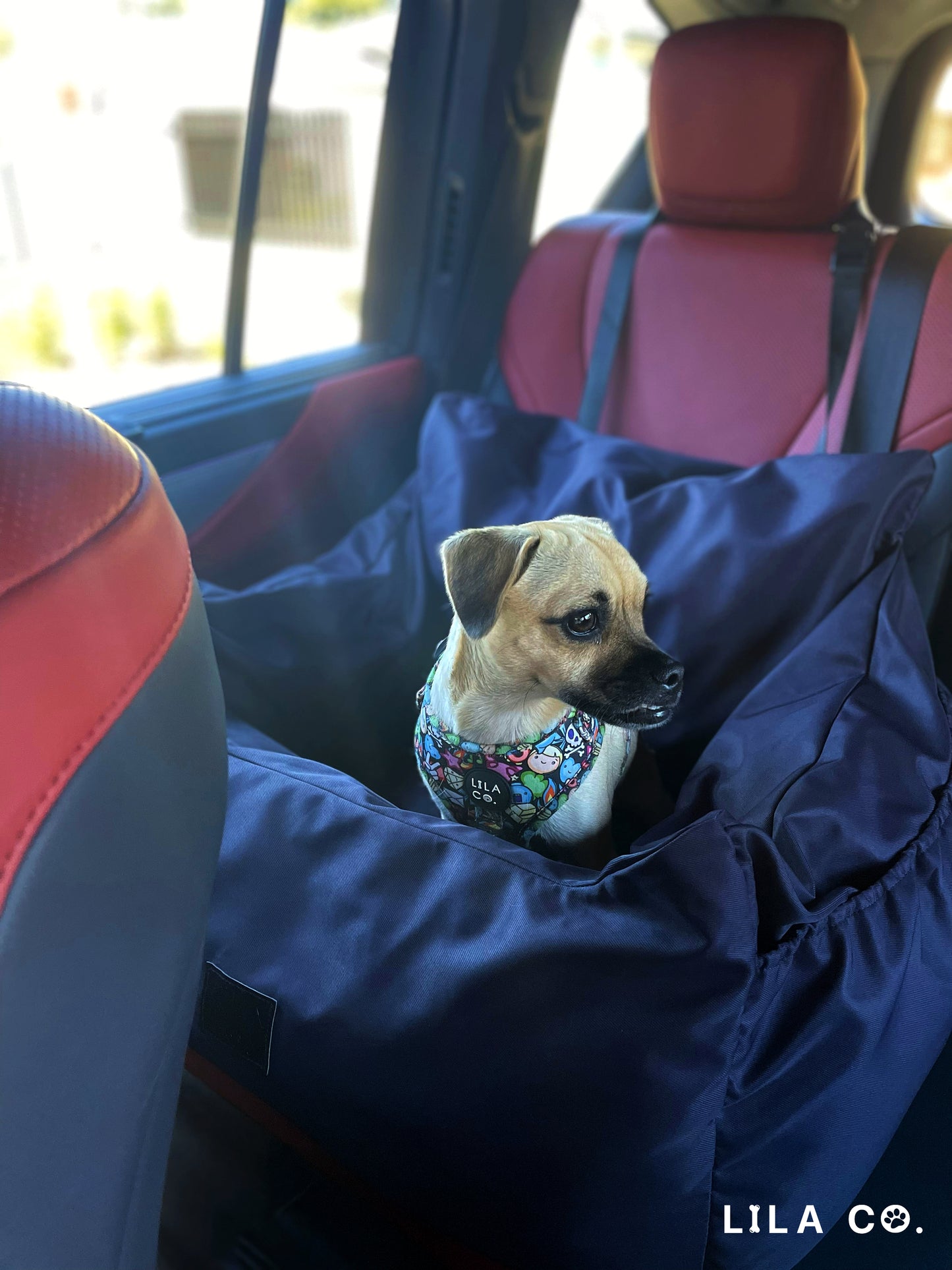 Hit the Road in Style: Lila Co.'s New and Improved Dog Car Seats!