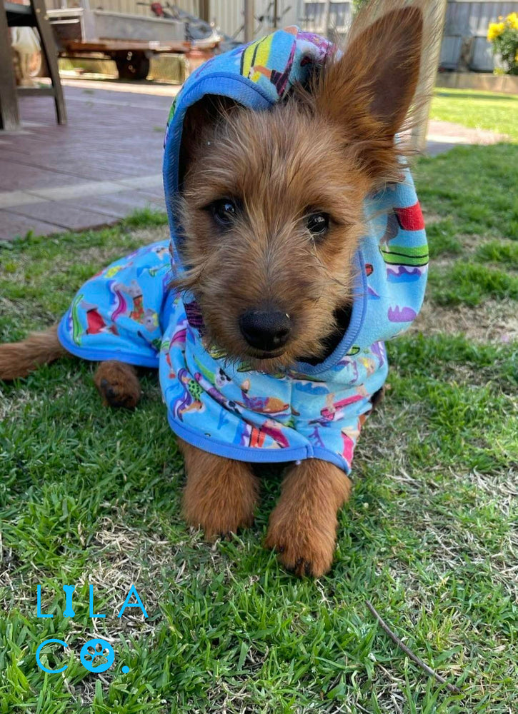 Unleash the Comfort: The Underrated Versatility of Dog Robes by Lila Co.