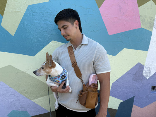 The Ultimate Guide to Better Dog Walks | 25 Expert Tips Every Dog Owner Should Know