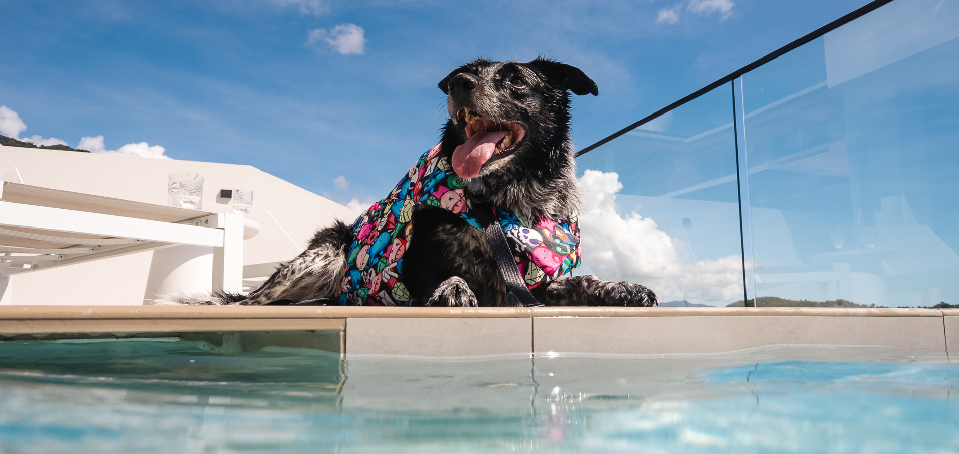 Dog Life Jacket Float Vests