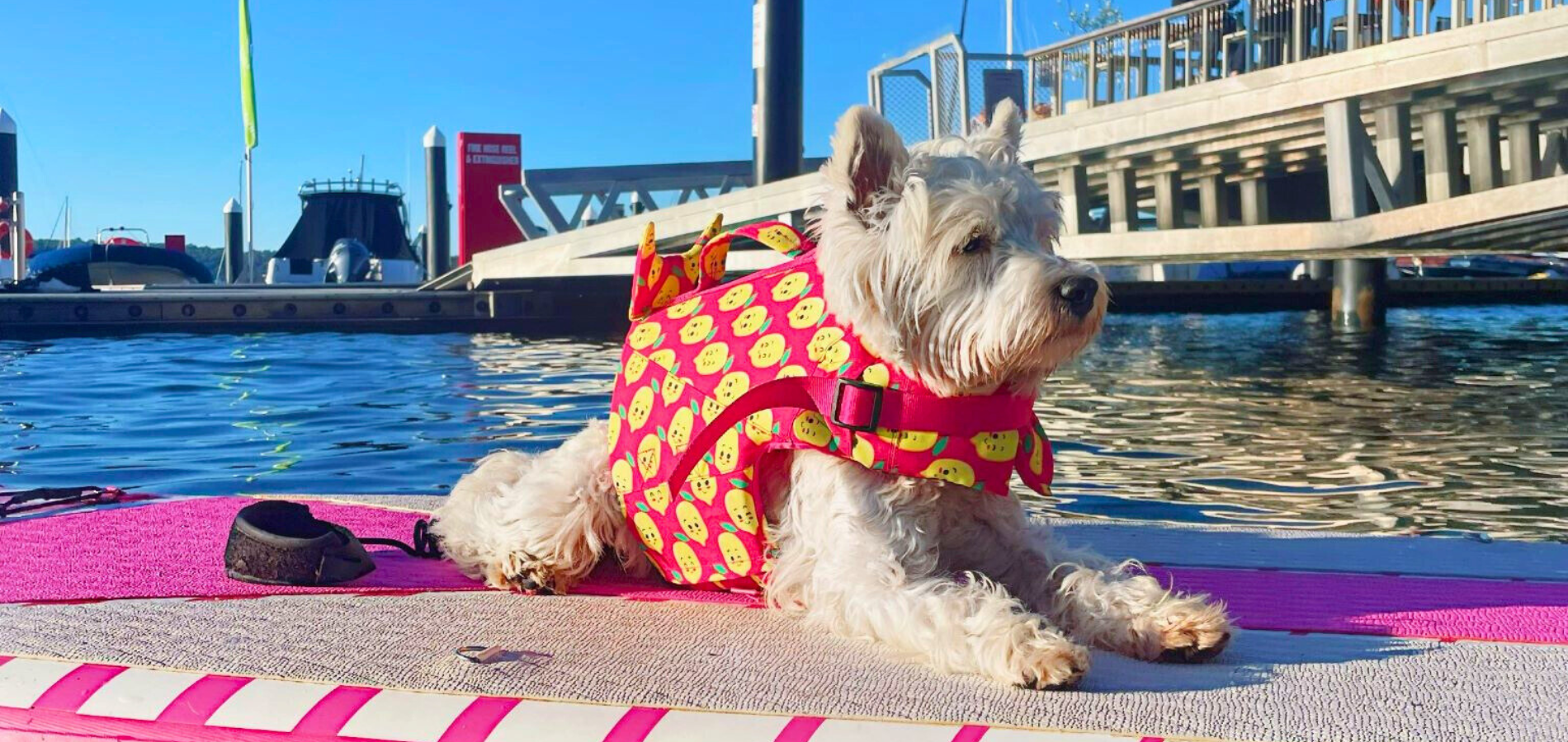 Ultimate Summer Bundle