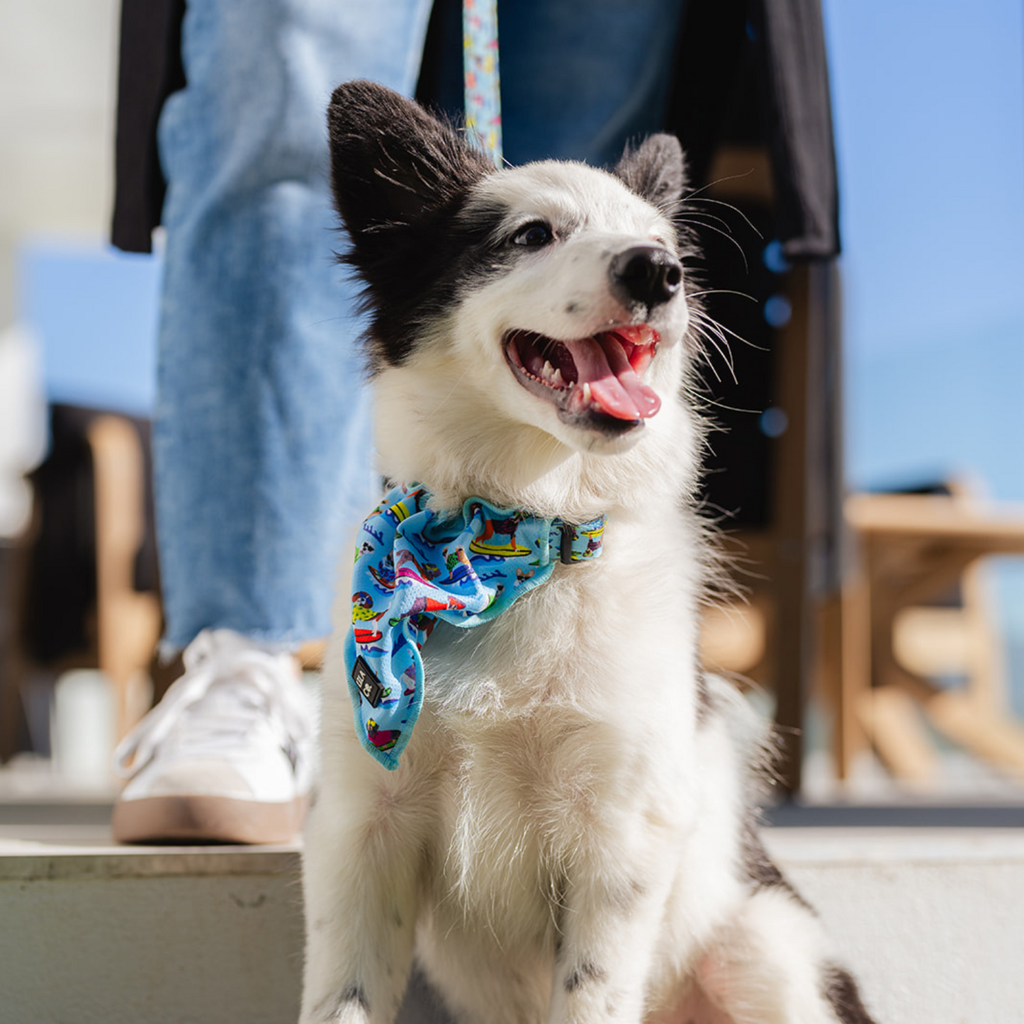 Bandanas