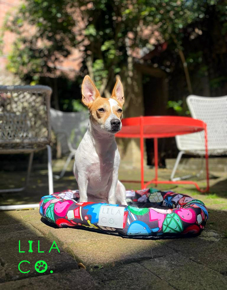 Gamer Characters | Spoil Your Fur Baby Bundle