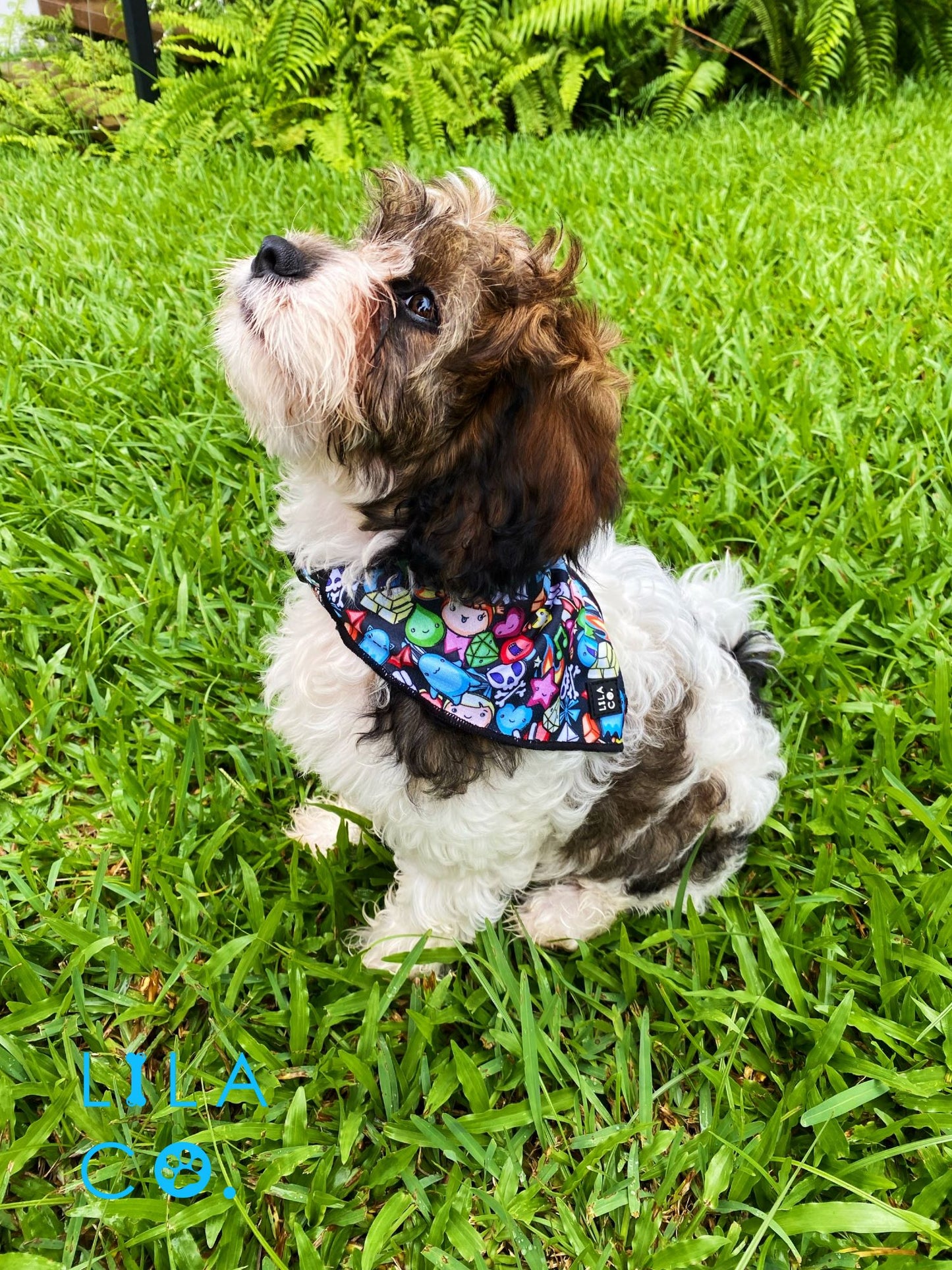 Cavoodle  Puppy Black Gamer Characters Dog Print Dog Collar Bandana Dog Bandana Cat Bandana  Australia Pet Supplies Australia Dog Accessories Pet Accessories 