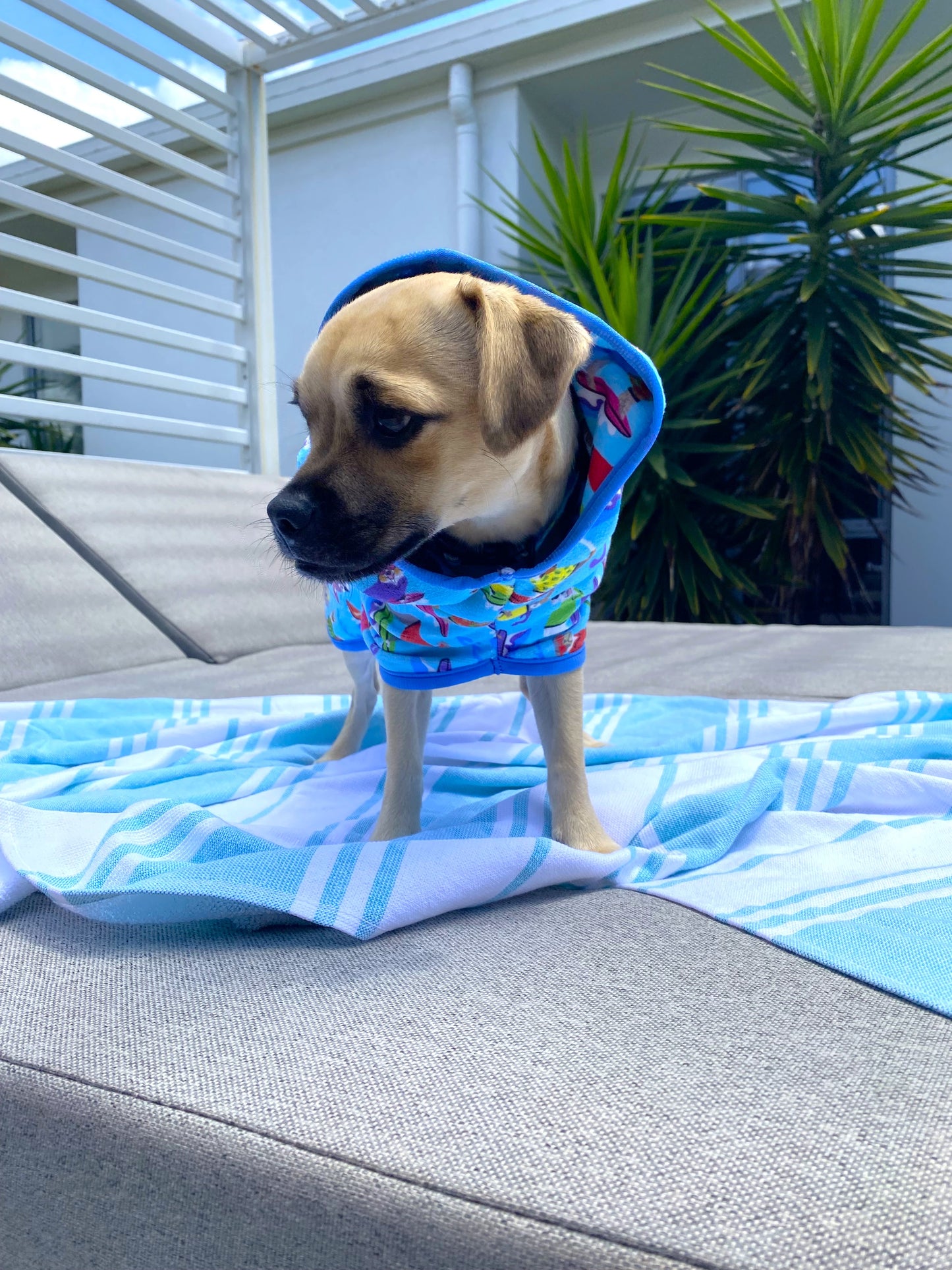 
                  
                    Dog Robe | Surf Dogs
                  
                