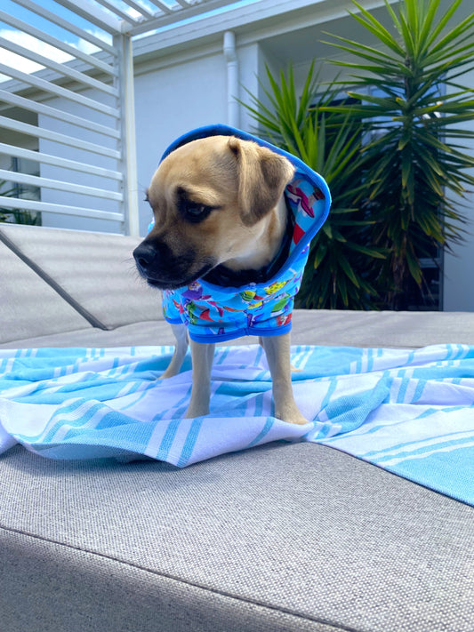 Dog Robe | Surf Dogs