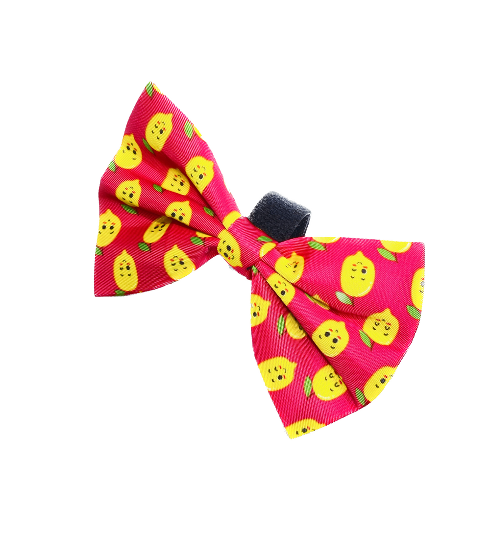 Bow Tie | Happy Lemons