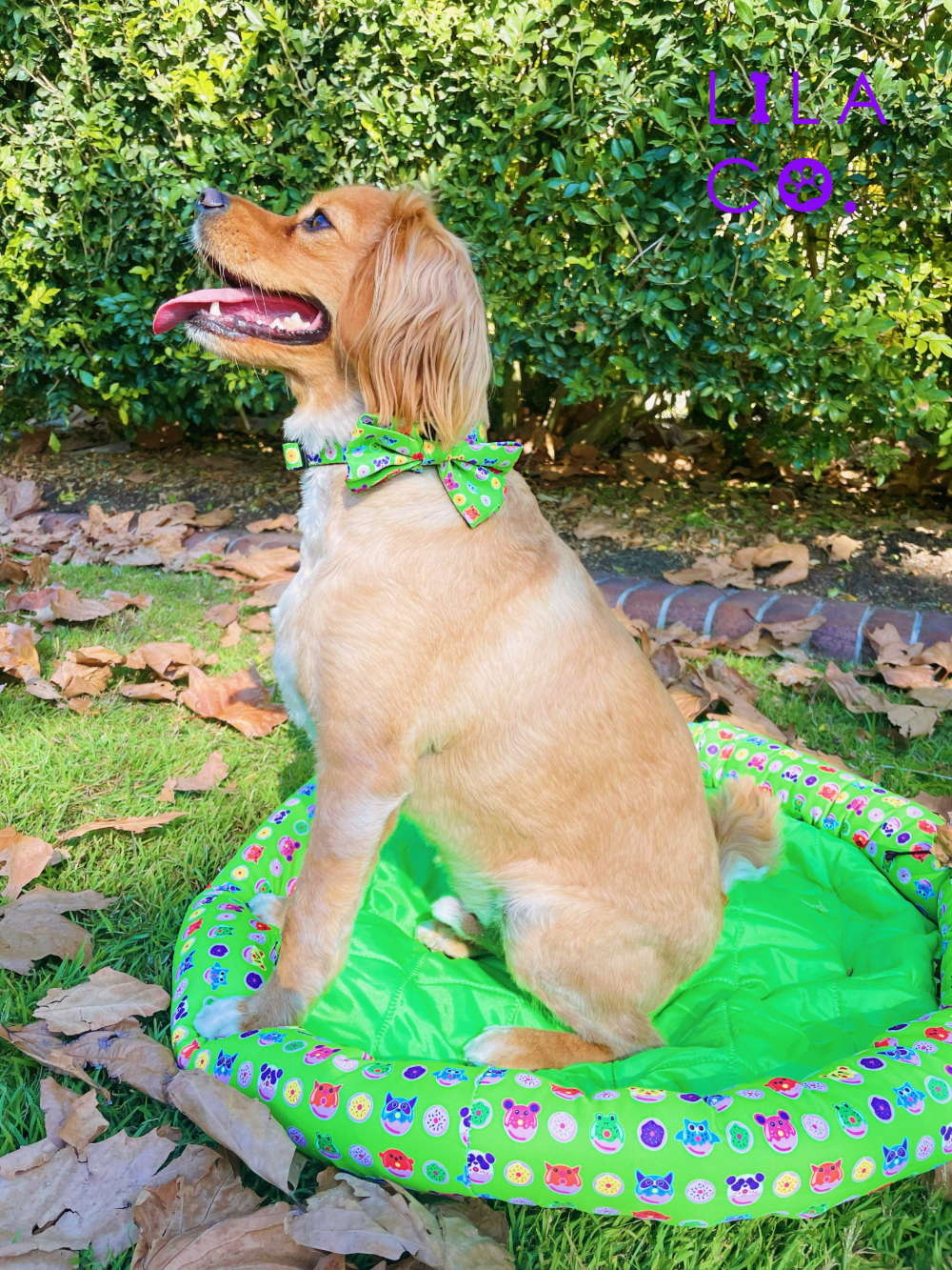 Green Donut Animals Print Dog Bow Tie Dog Collar Dog Cooling Bed Outdoor Dog Bed Outdoor Pet Bed Summer  Australia Pet Supplies Australia Dog Accessories Pet Accessories 