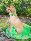 Donut Animals Green Print Cooling Dog Pet Bed Cavoodle Outdoor Pet Bed Outdoor Dog Bed  Australia Pet Supplies Australia Dog Accessories Pet Accessories 