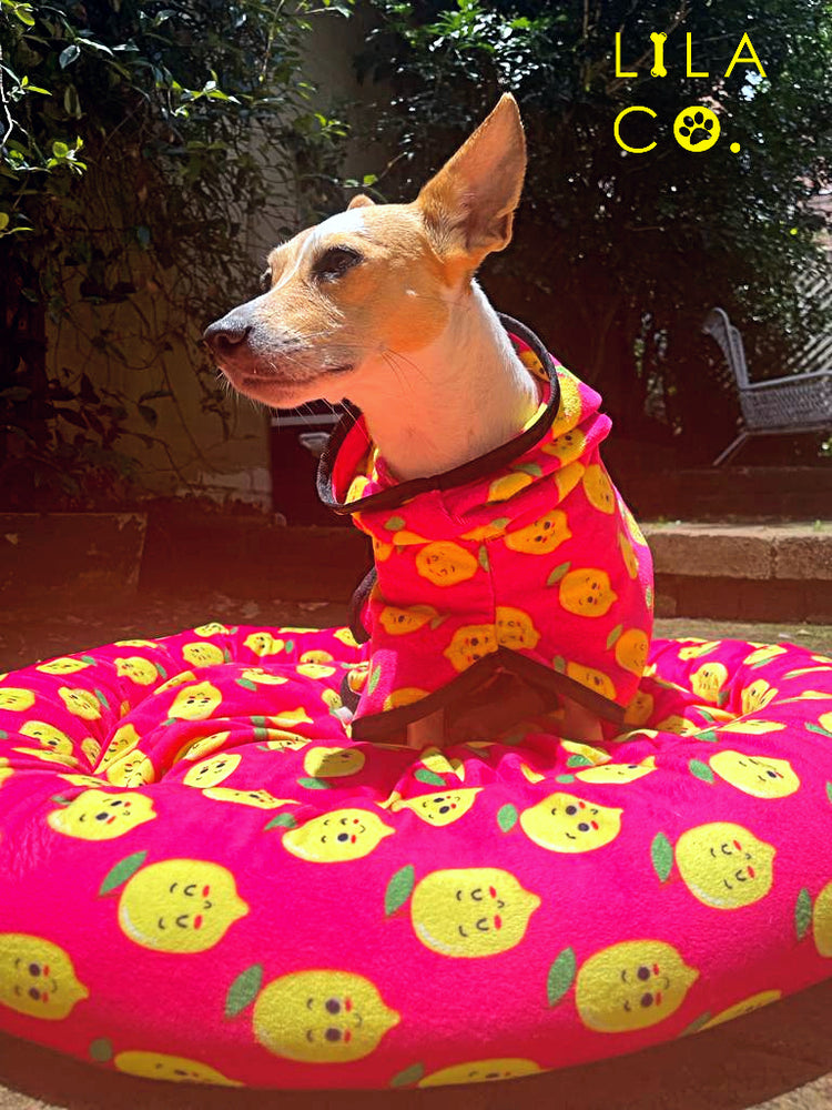 Jack Russell Terrier in Pink Happy Lemons Print Soft and Cushy Comfortable Dog Bed Australia Pet Supplies Dog Accessories Australia