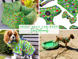 Green Donut Animals Ultimate Spoil Your Fur Baby Bundle - Robe, Car Seat, Harness Set, Cooling Pet Bed