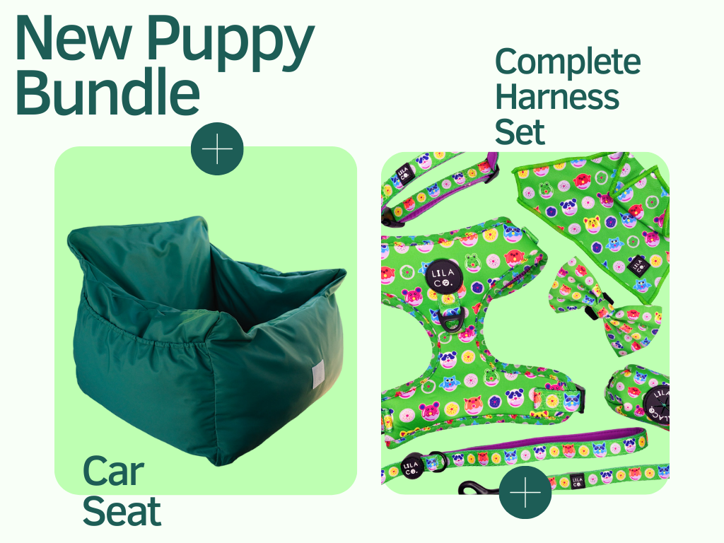 Emerald Green Car Seat & Complete Harness Set | New Puppy Bundle