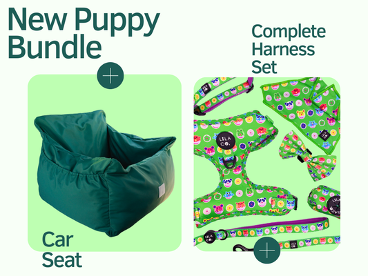 Emerald Green Car Seat & Complete Harness Set | New Puppy Bundle