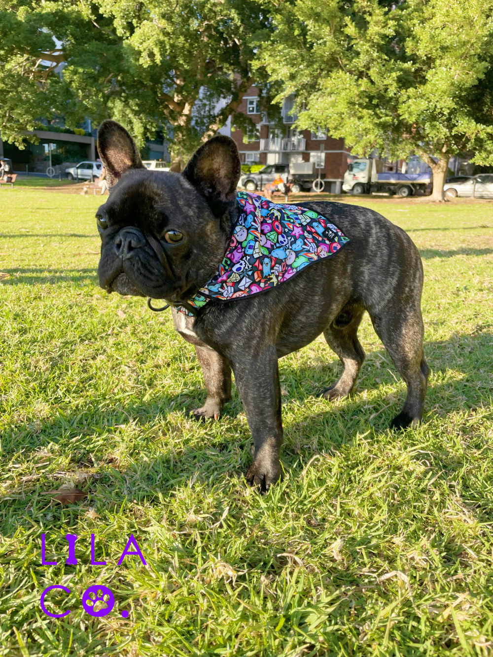 French Bulldog in Black Gamer Characters Print Dog Collar Bandana Dog Bandana Cat Bandana  Australia Pet Supplies Australia Dog Accessories Pet Accessories 
