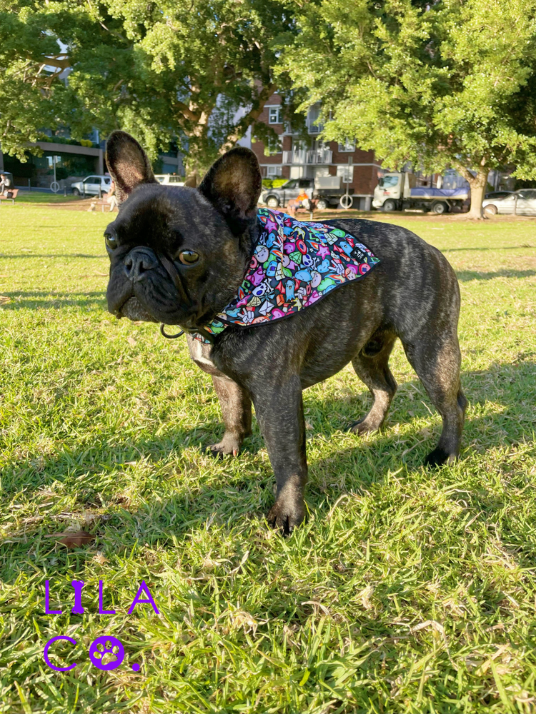 
                  
                    French Bulldog in Black Gamer Characters Print Dog Collar Bandana Dog Bandana Cat Bandana  Australia Pet Supplies Australia Dog Accessories Pet Accessories 
                  
                