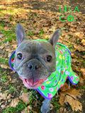 French Bulldog in Green Donut Animals Print Dog Robe Microfibre Dog Robe  Australia Pet Supplies Australia Dog Accessories Pet Accessories 