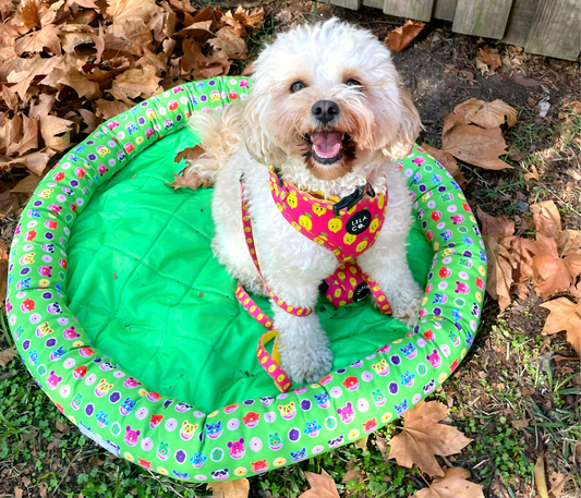 Cool Zone Pet Bed | Donut Animals