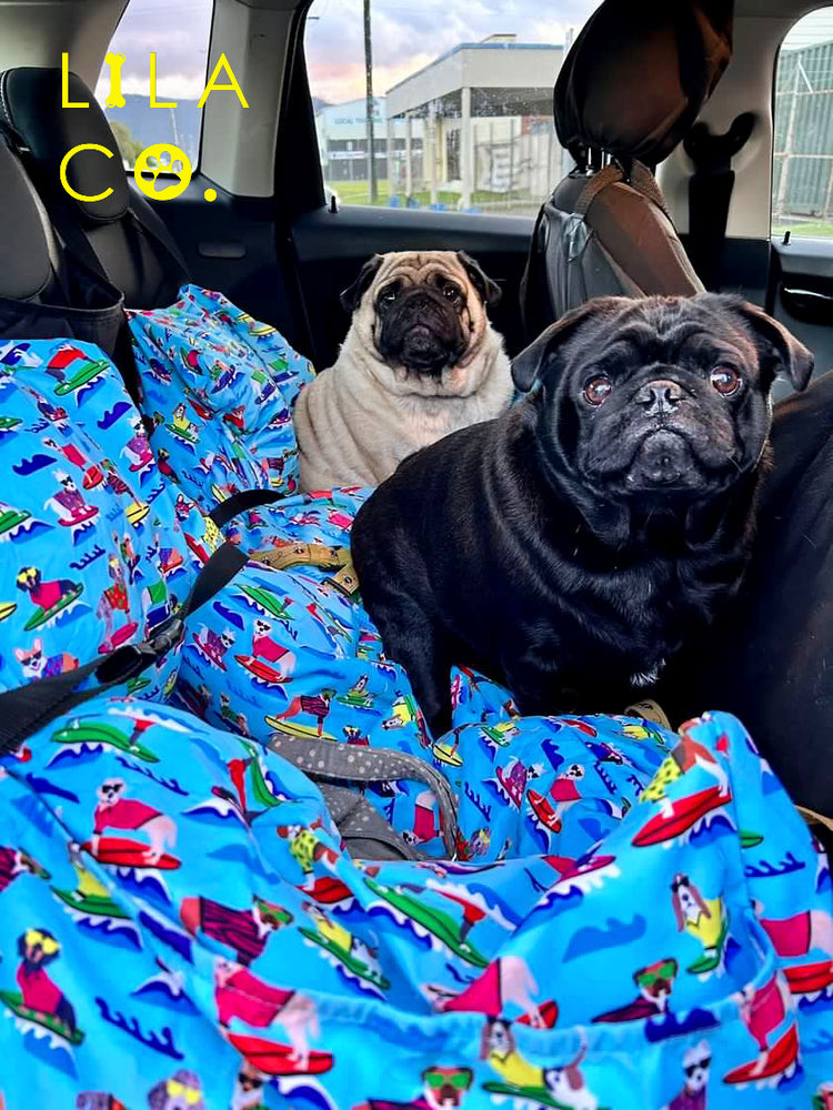 Pug Blue Surf Dogs Print Dog Car Bed Dog Car Safety Dog Car Seat Cat Car Seat  Australia Pet Supplies Australia Dog Accessories Pet Accessories 