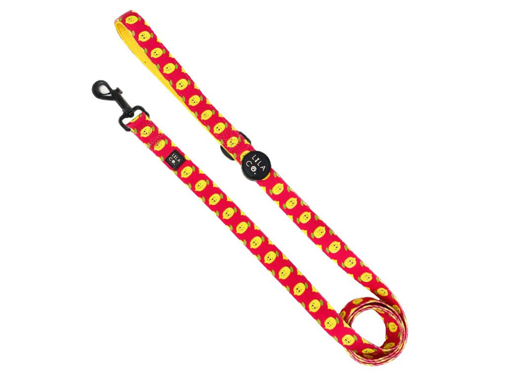 Happy Lemons Pink Dog Leash Australia Pet Supplies Australia Dog Accessories Cat Leash