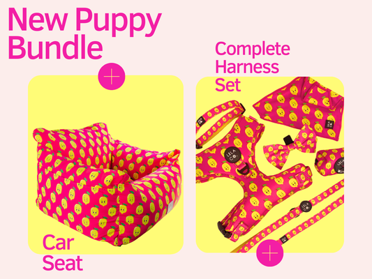 Happy Lemons | New Puppy Bundle