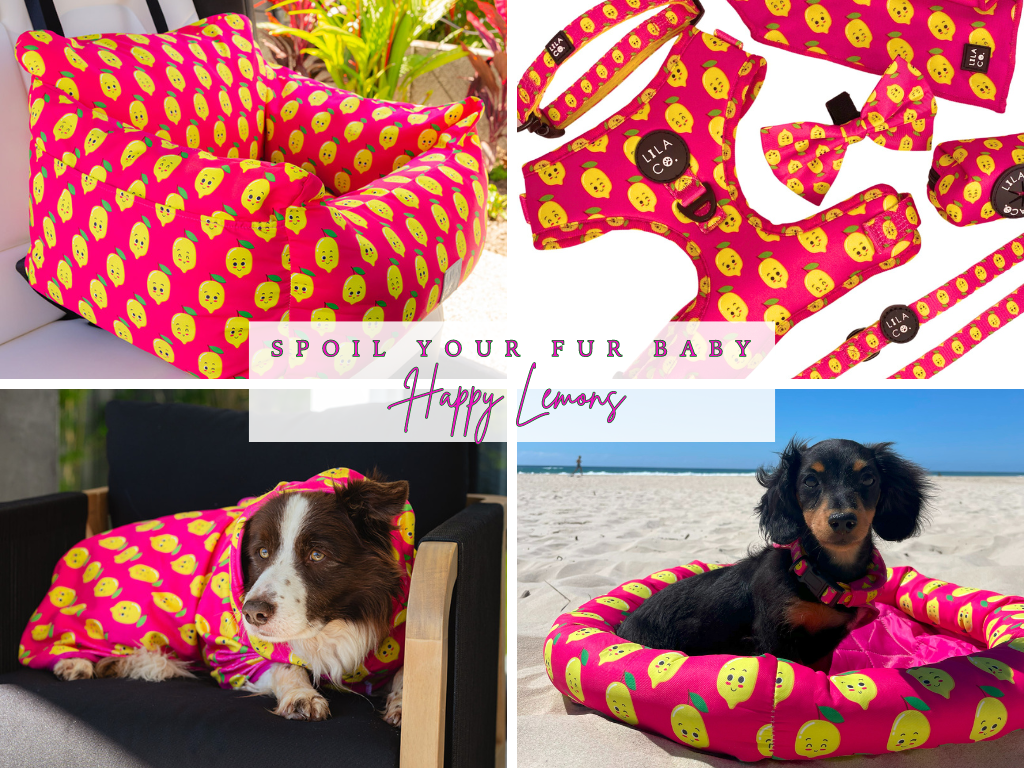 Pink Happy Lemons Ultimate Spoil Your Fur Baby Bundle - Dog Robe, Car Seat, Cooling Pet Bed, Complete Harness Set