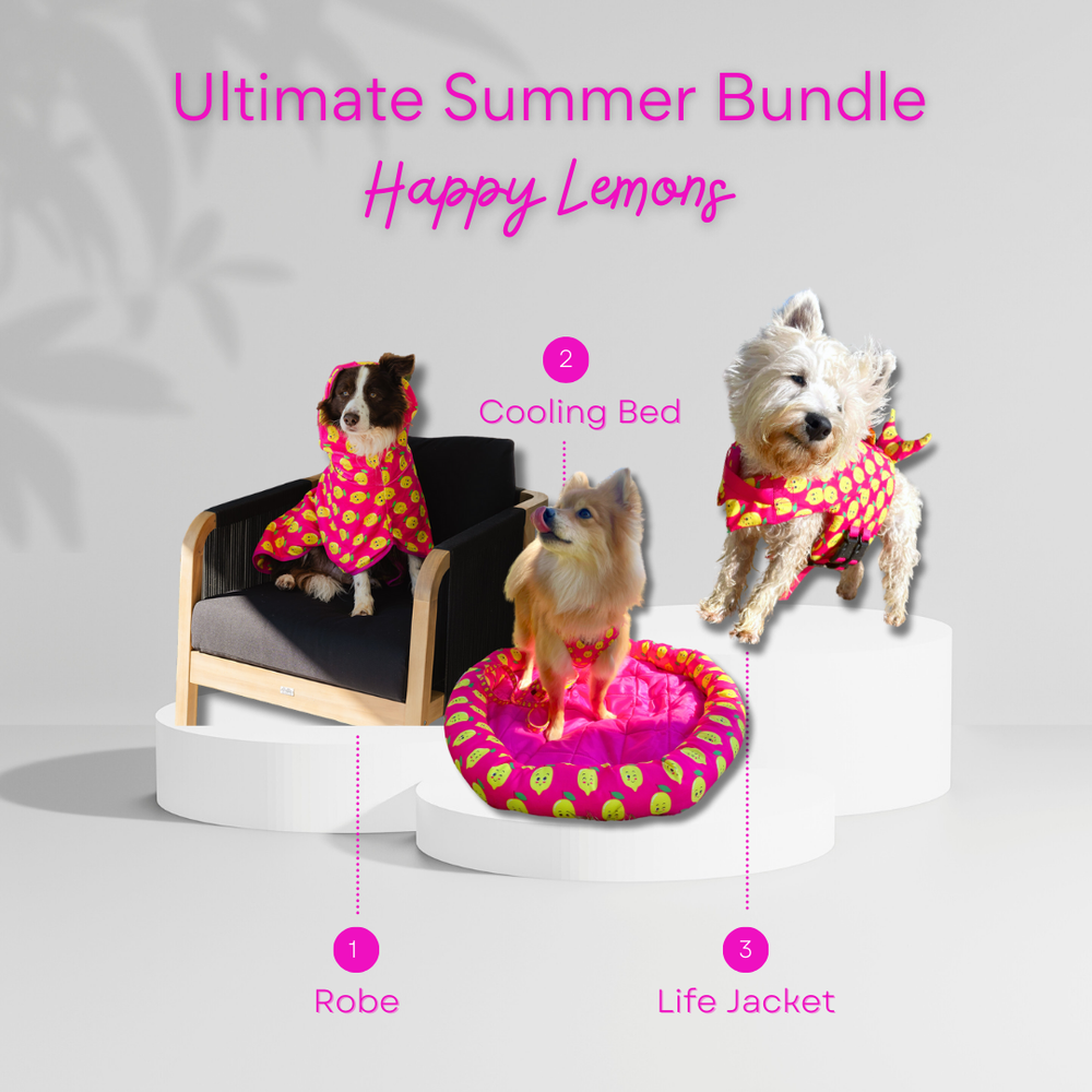 Happy Lemons | Ultimate Summer Bundle