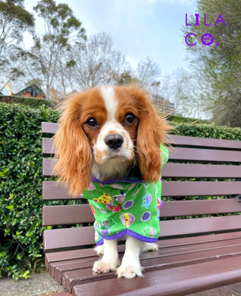 King Charles Cavalier Spaniel Green Donut Animals Print Dog Bathrobe Dog Robe Microfibre Robe  Australia Pet Supplies Australia Dog Accessories Pet Accessories 