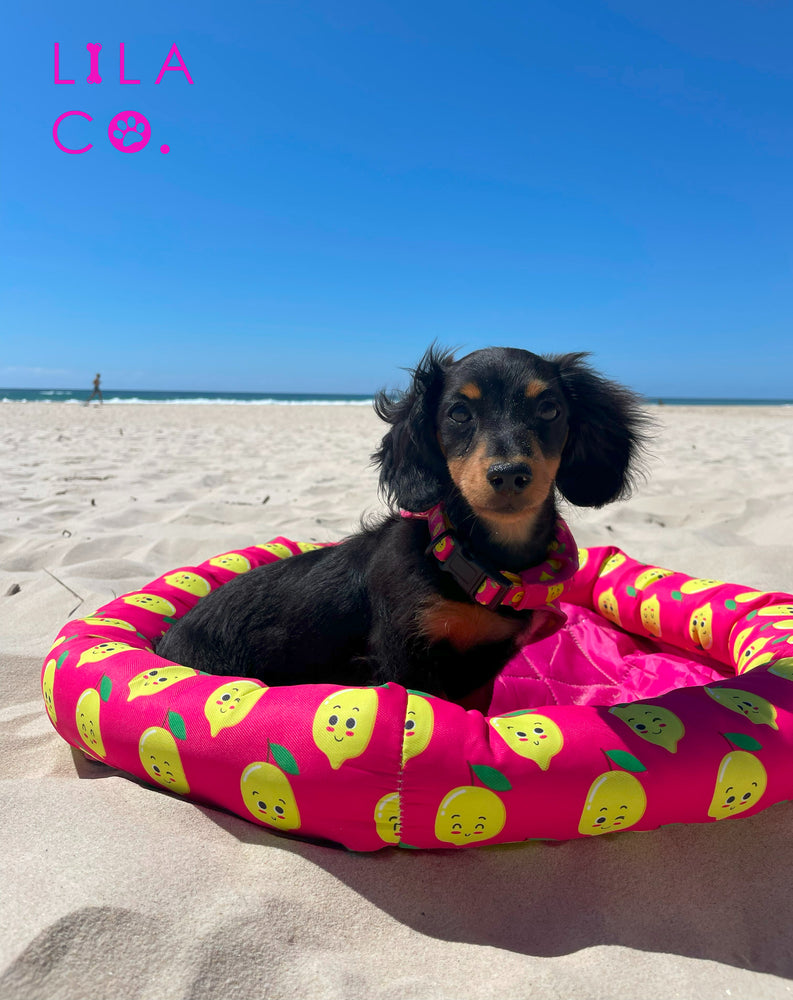 Pink Happy Lemons Print Cooling Pet Bed Dachshund Puppy Outdoor Bed Beach Outdoor Dog Bed Cooling Dog Bed  Australia Pet Supplies Australia Dog Accessories Pet Accessories 