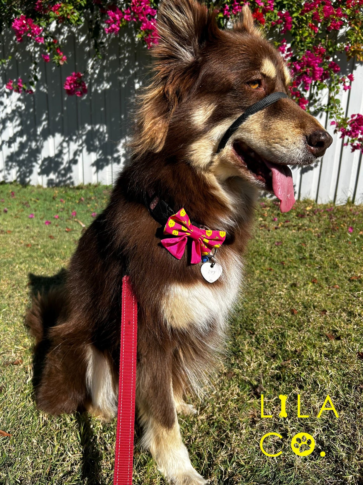 Happy Lemons Pink Dog Bow Tie Dog Sailor Bow Australia Pet Supplies Australia Pet Accessories