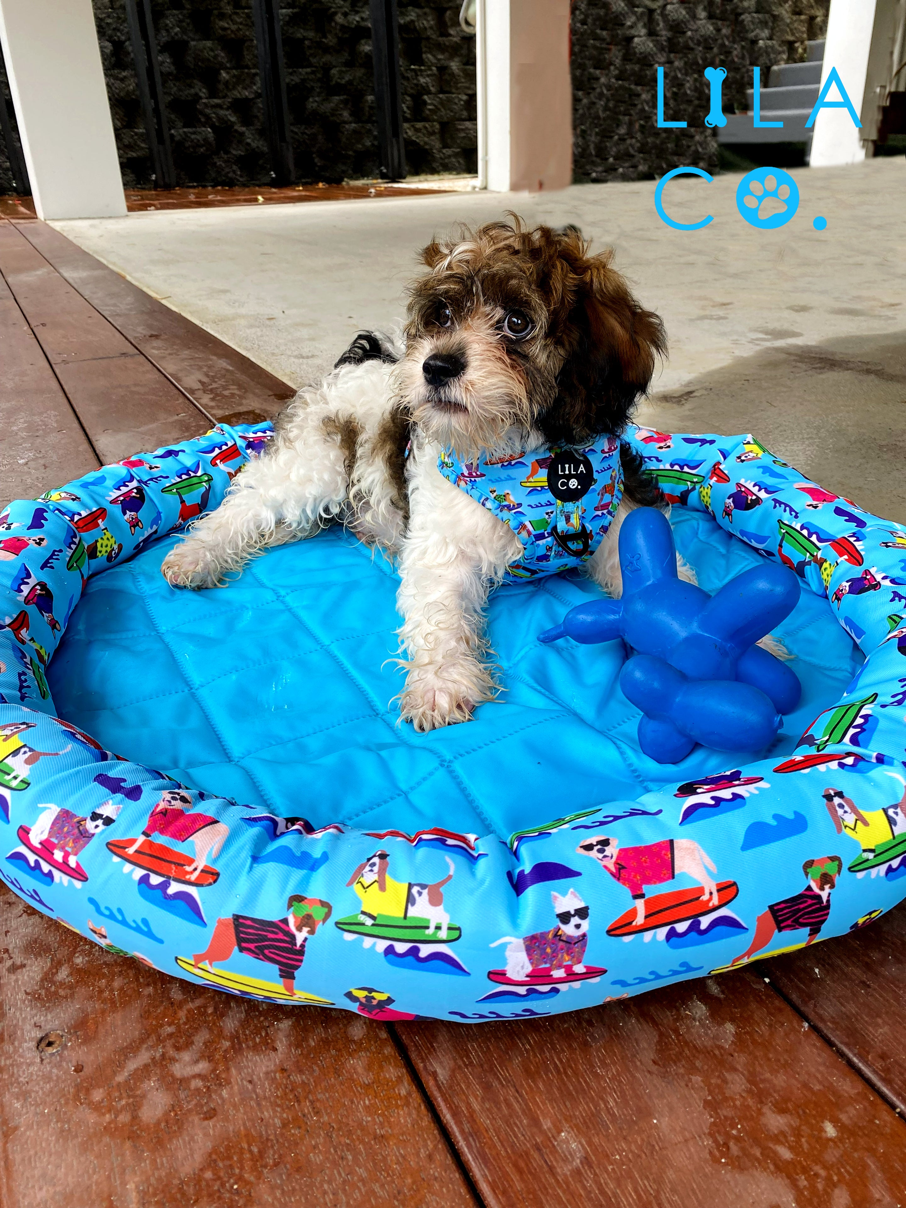 Cool Zone Pet Bed | Surf Dogs