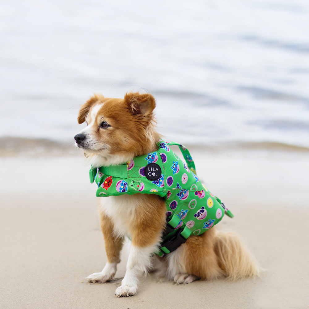 XS Green Donut Animals Print Life Jacket Float Vest on Theo the Pomeranian Puppy