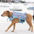 Medium Surf Dogs Print Life Jacket Float Vest on Sheba the Staffy at the Pool