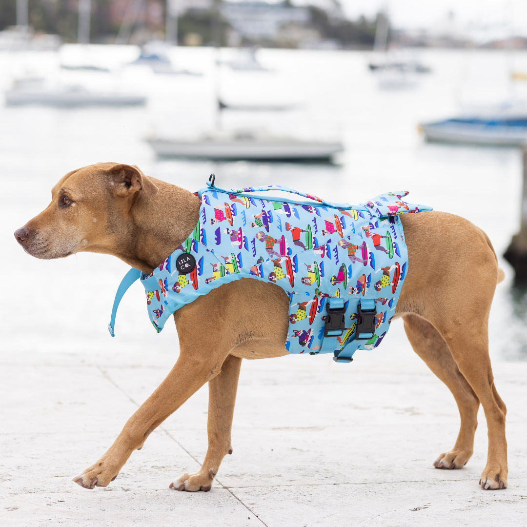 
                  
                    Medium Surf Dogs Print Life Jacket Float Vest on Sheba the Staffy at the Pool
                  
                