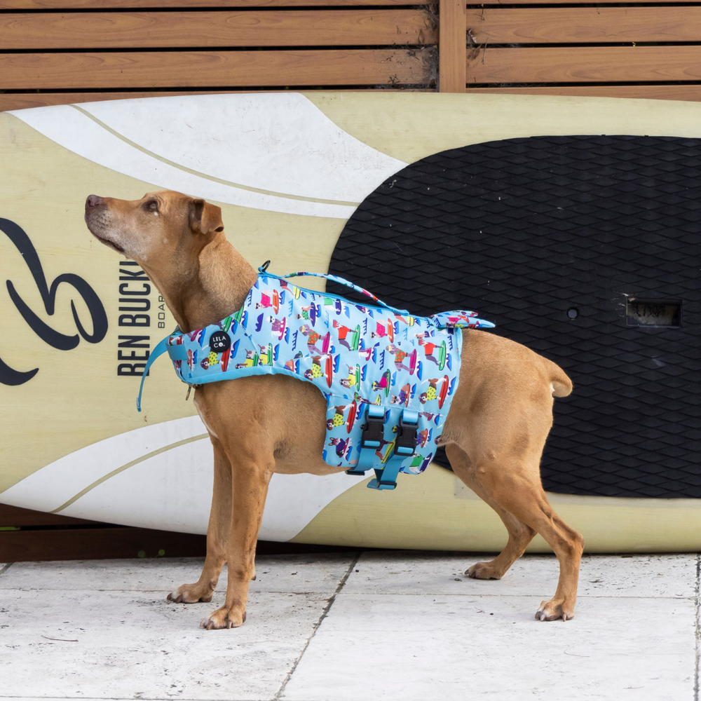 Medium Surf Dogs Print Life Jacket Float Vest on Sheba the Staffy
