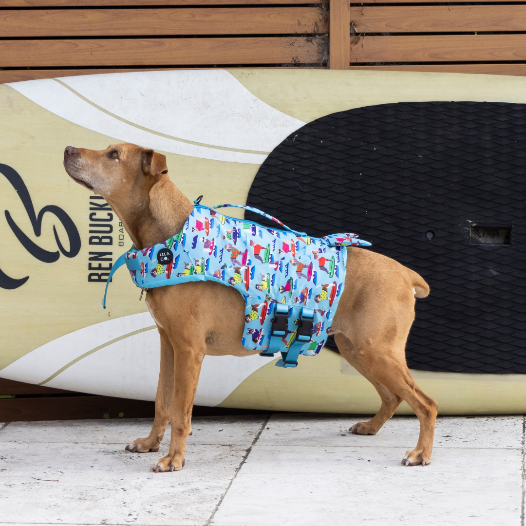 Medium Surf Dogs Print Life Jacket Float Vest on Sheba the Staffy