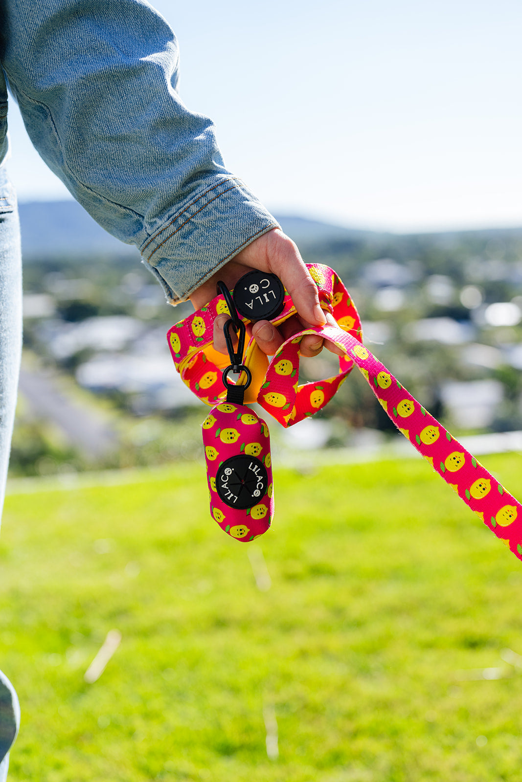 Pink Lila Co happy lemons print dog leash and matching poop bag holder dog and pet accessories